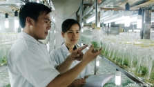 Dự án “Đẩy mạnh đổi mới sáng tạo thông qua Nghiên cứu, Khoa học và Công nghệ” (FISRT)